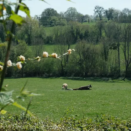 Πανσιόν Perche King's Bedroom In Maisonnomadechic