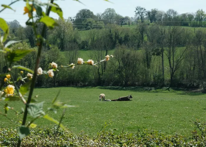 Гостевой дом Perche King's Bedroom In Maisonnomadechic